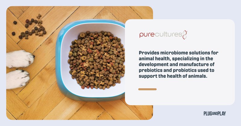 6 Companies Revolutionizing the Gut Microbiome of Pets .002.jpeg