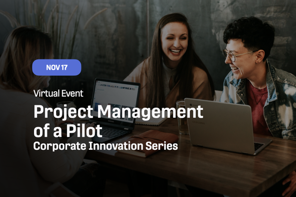 Corporate Innovation Series.003.png