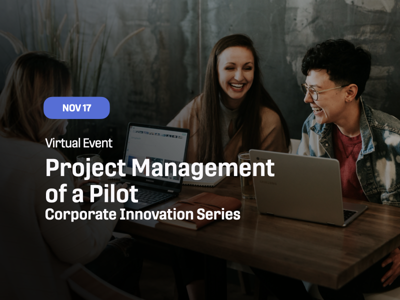Project Management of a Pilot Project Management of a Pilot