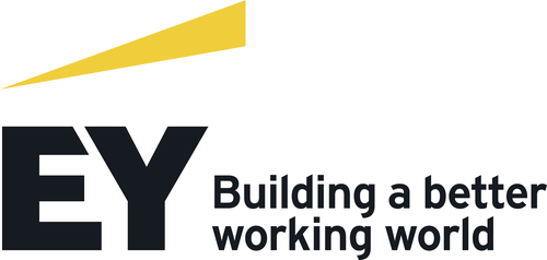 EY Parthenon - Plug and Play