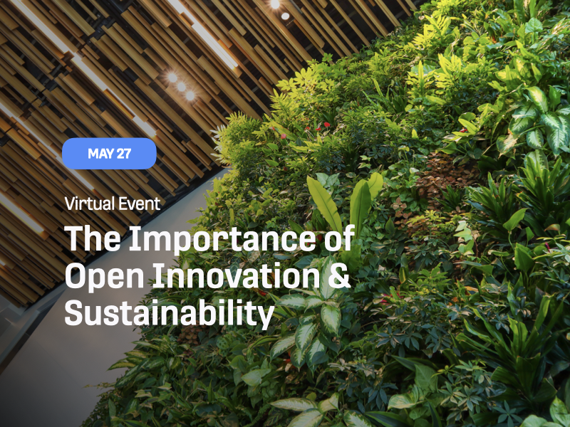 The Importance of
Open Innovation & Sustainability The Importance of
Open Innovation & Sustainability