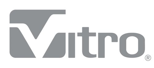 Vitro corporate innovation strategy