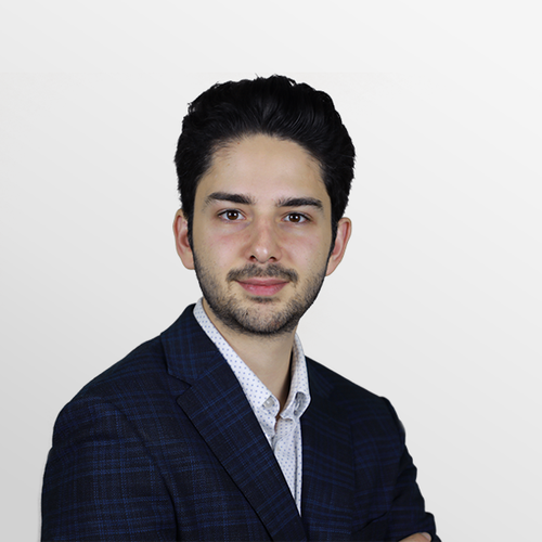 Mehrad Moeini - Plug and Play