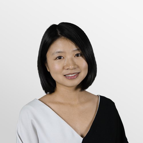WenWen Shi plug and play